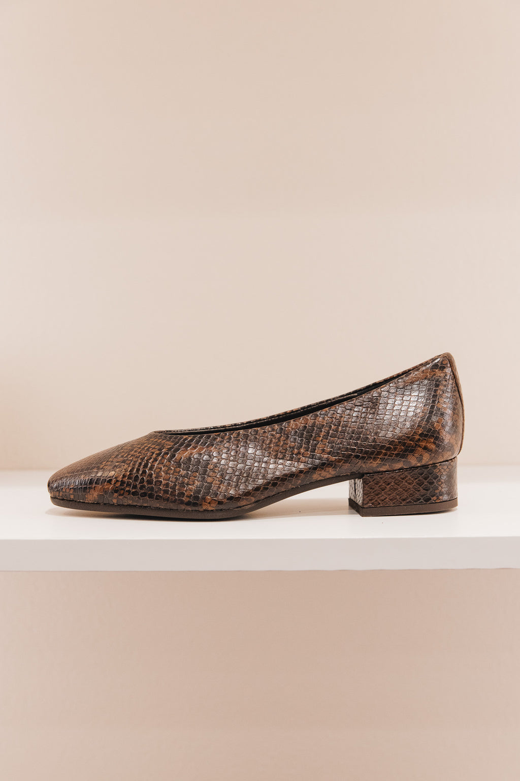 Favorite python marron