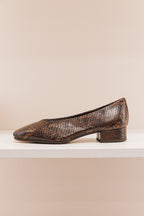 Favorite python marron