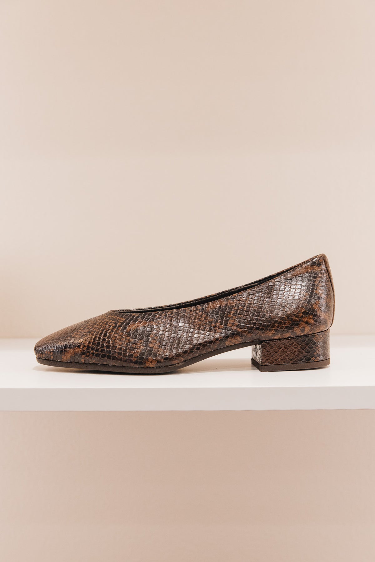 Favorite python marron
