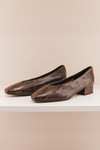 Favorite python marron