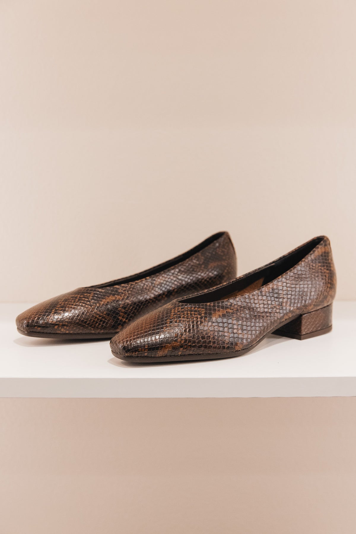 Favorite python marron