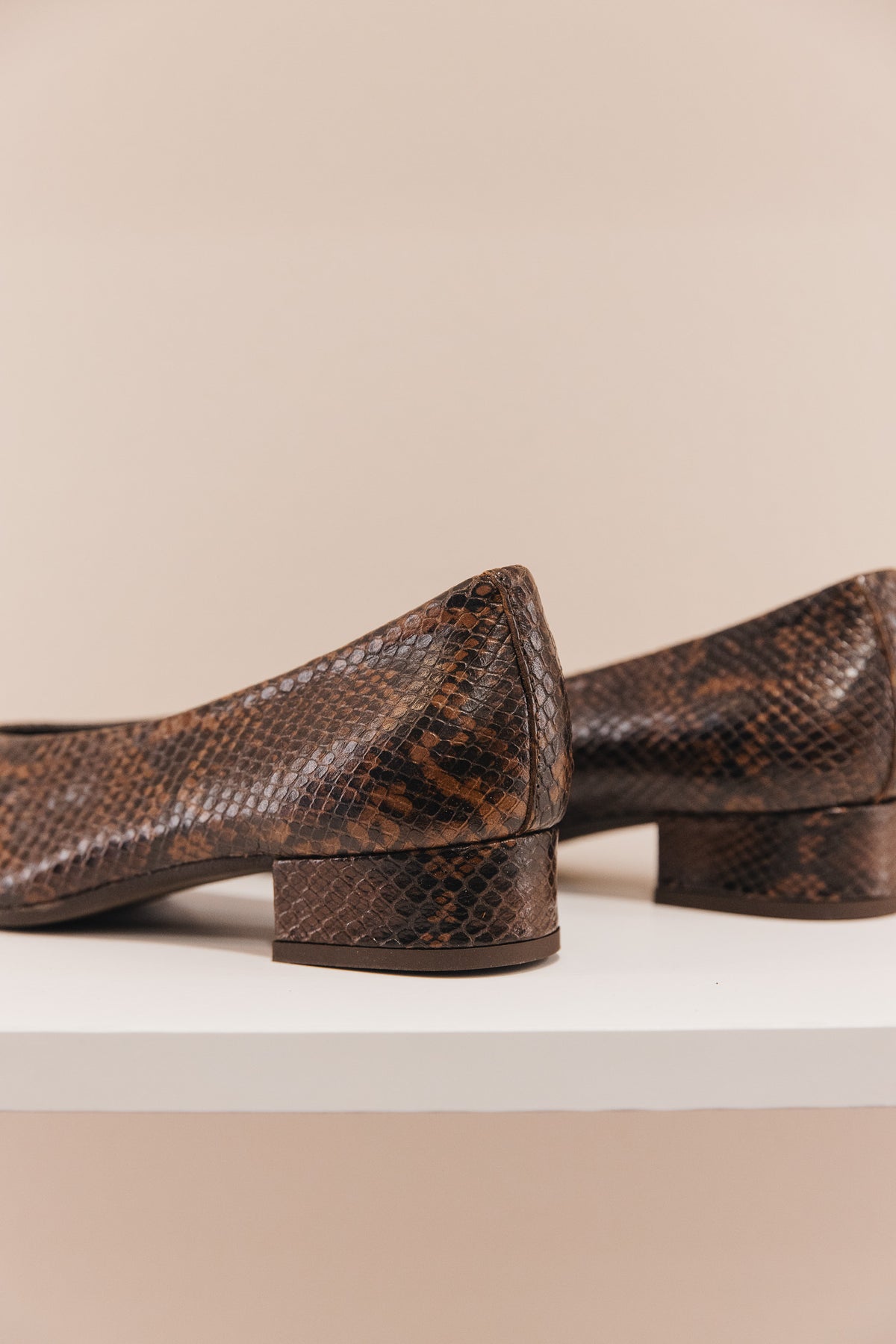Favorite python marron