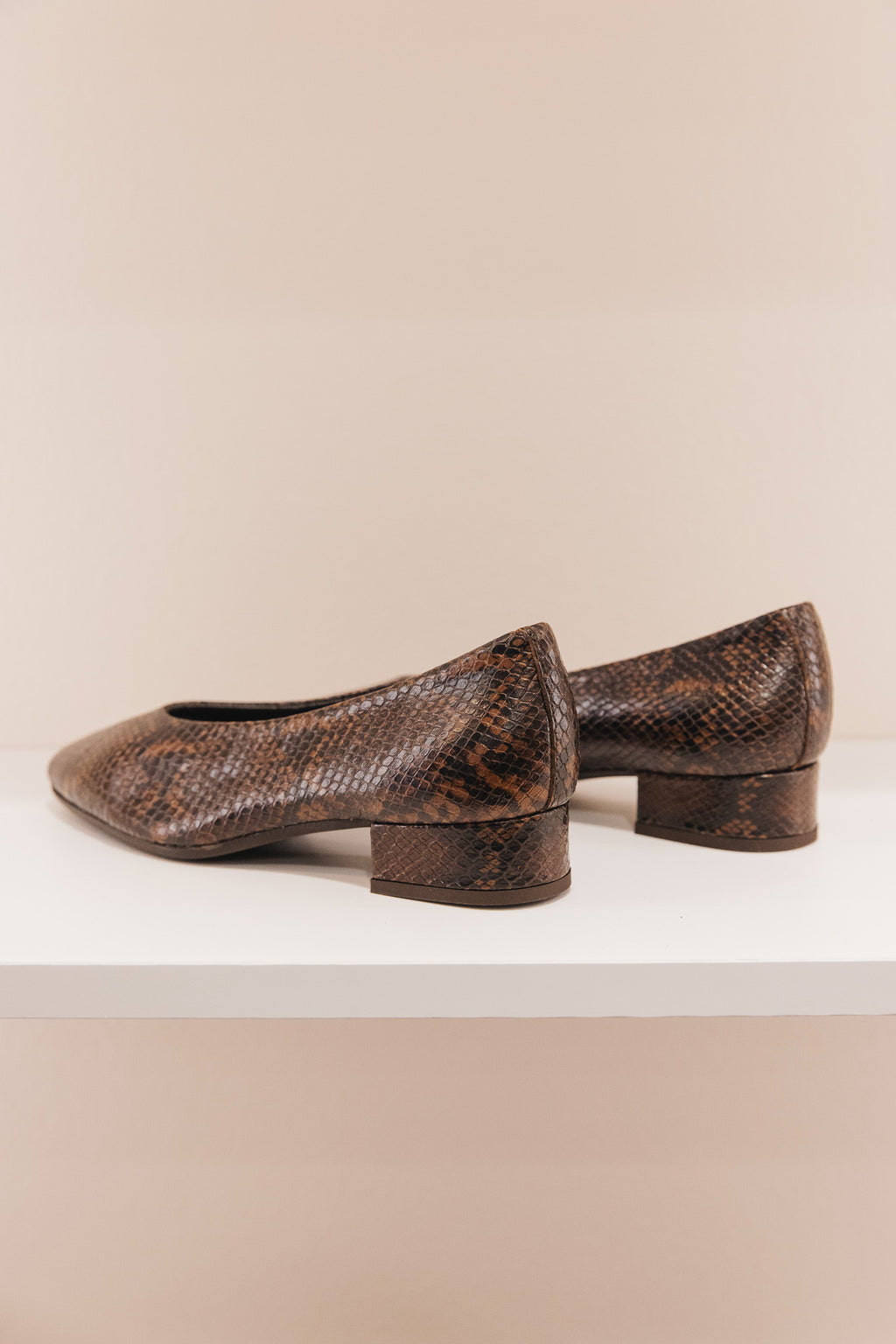 Favorite python marron