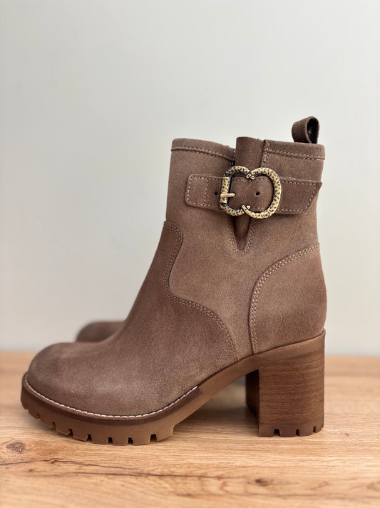 JUMEL TAUPE